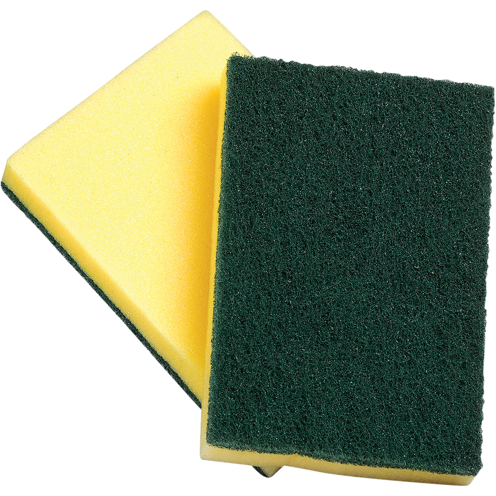 sponge