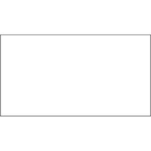 Packing Slip Envelopes Clear 9.5"x12" BC300 (500/case) #061-PAK 300 - #PE539