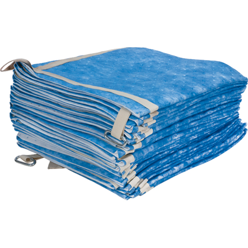 sorbent-sweep